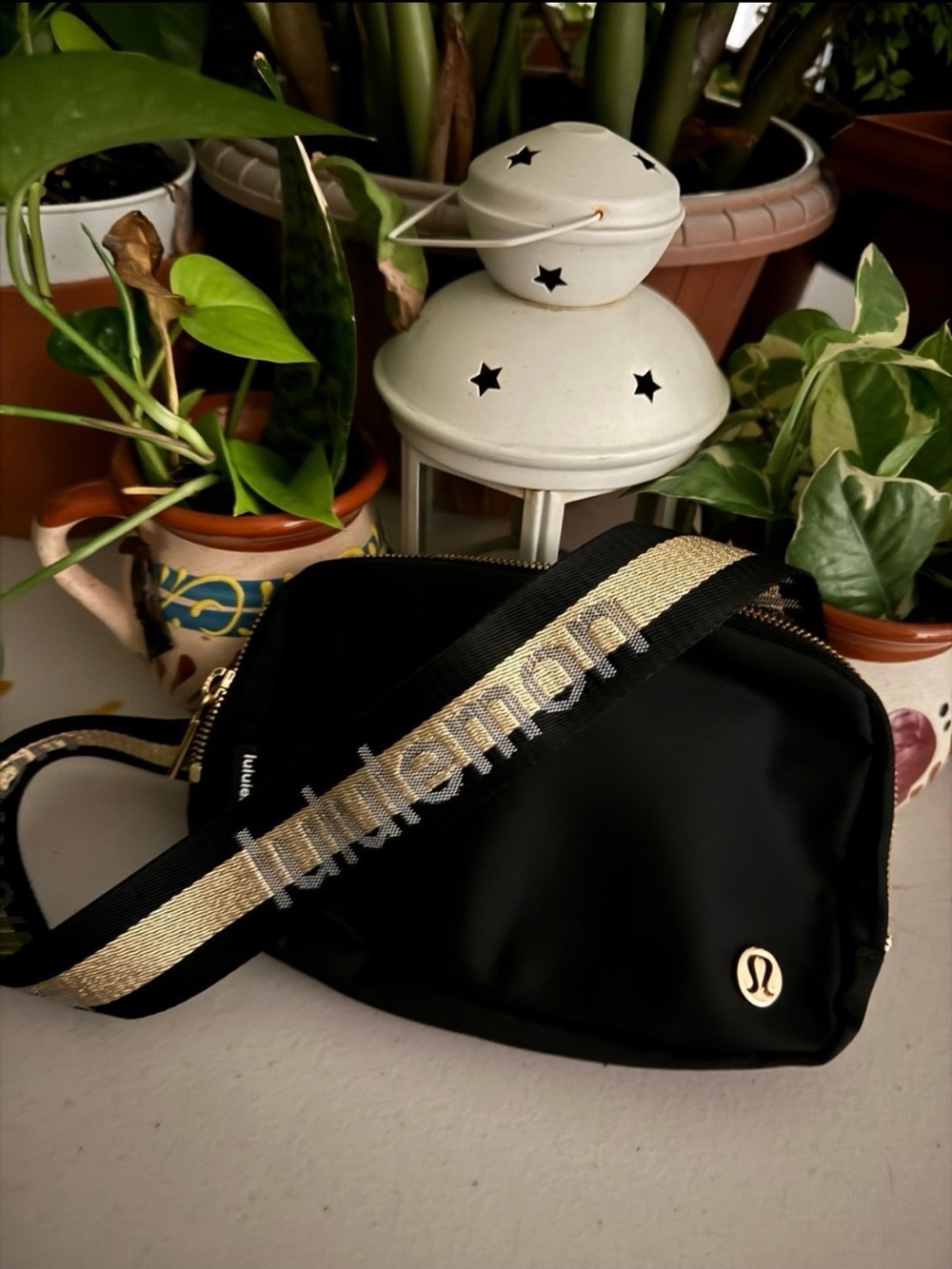 Everywhere belt bag, 2 L size